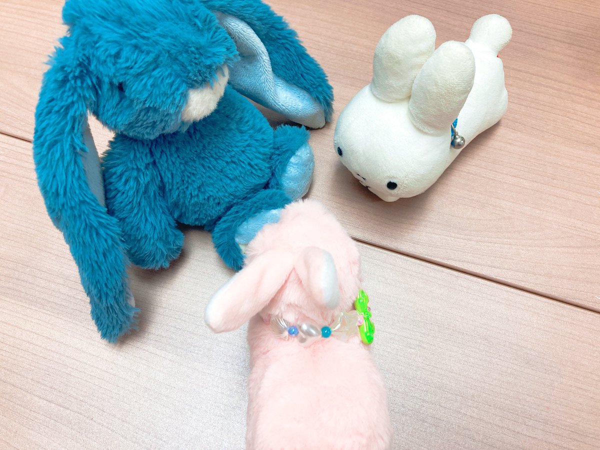 cotofi_'s tweet photo. うささんたち✨（なかまがふえました！） https://t.co/qdKW2IbUt7
