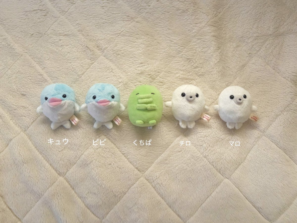 まめぴ tweet media