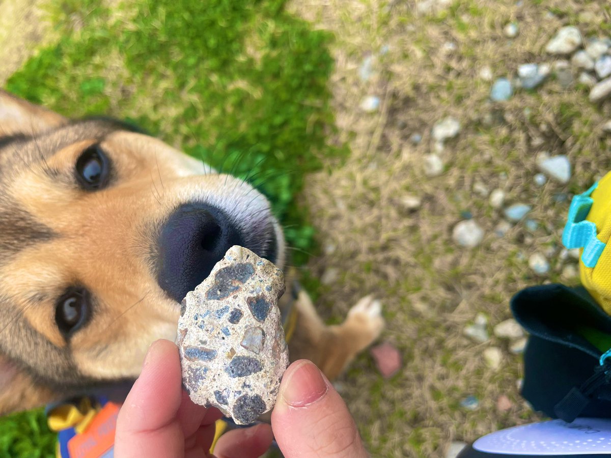 摩耶 (maya) tweet media