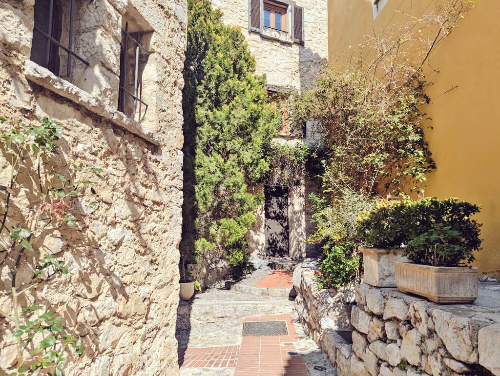 旅丸sho🎒旅する経営者 tweet media