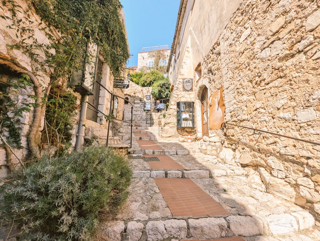 旅丸sho🎒旅する経営者 tweet media