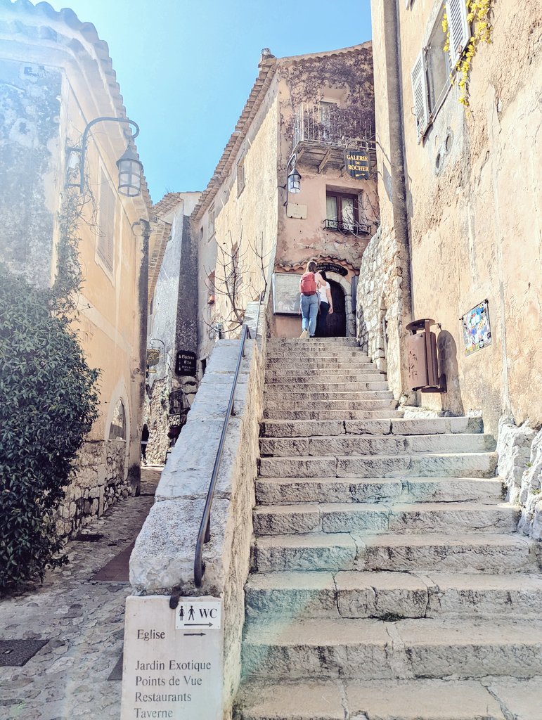 旅丸sho🎒旅する経営者 tweet media