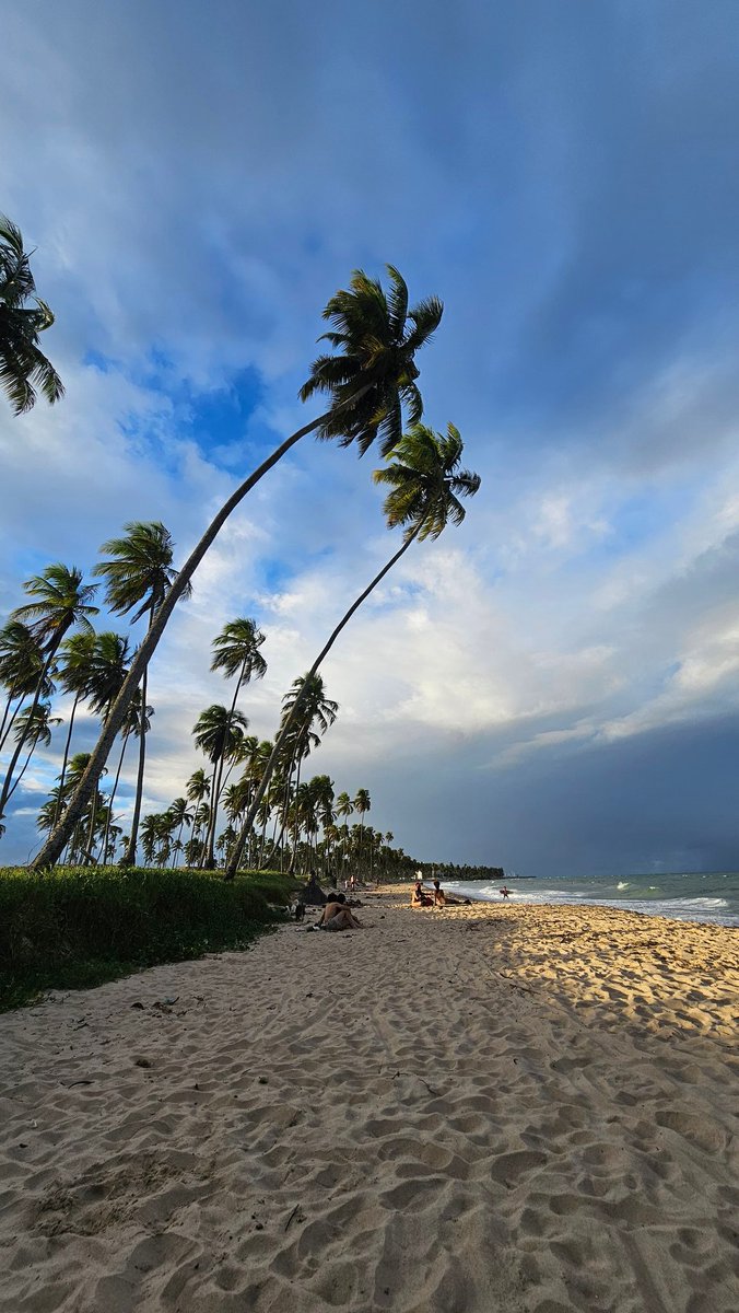 𝕮 𝖆 𝖚 𝖆̃ ✨ tweet media