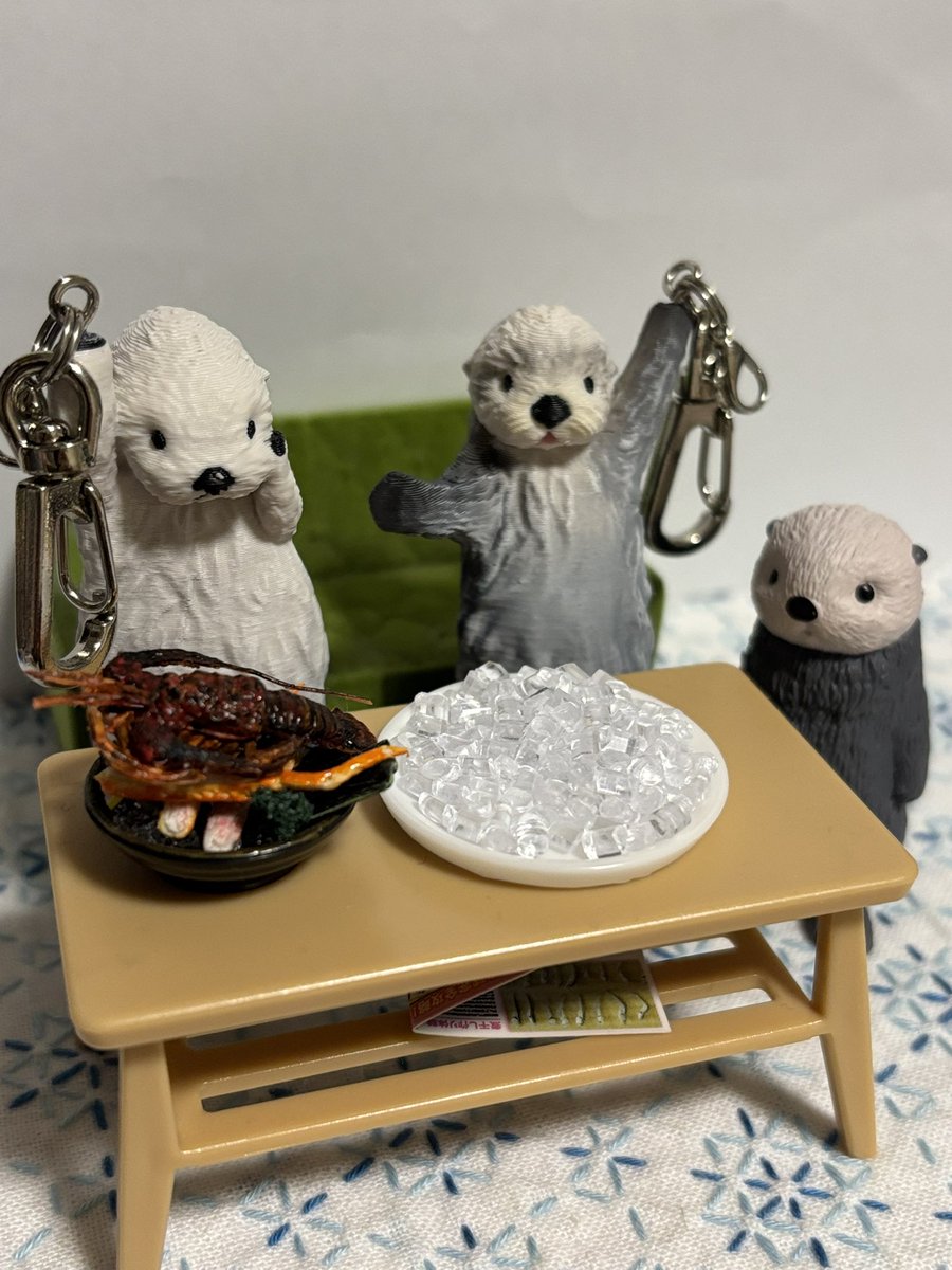 ベル🦦 tweet media