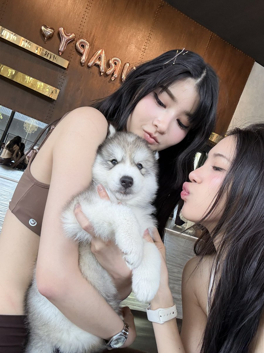 pangjiewr tweet media