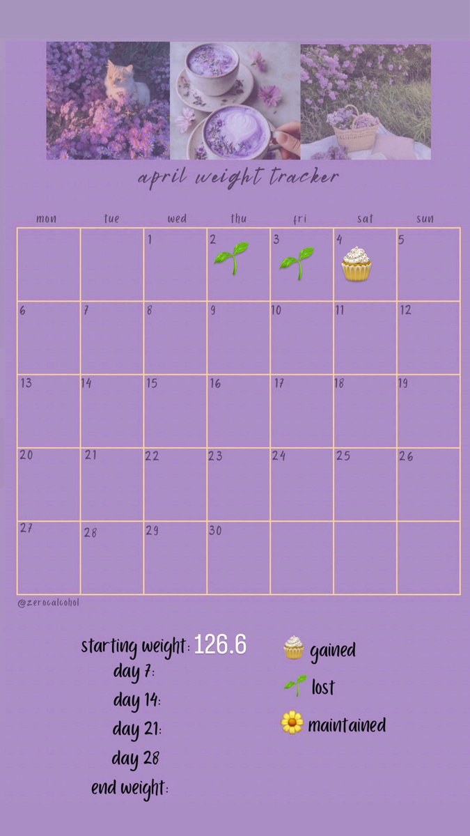 maggie ♛ tweet media