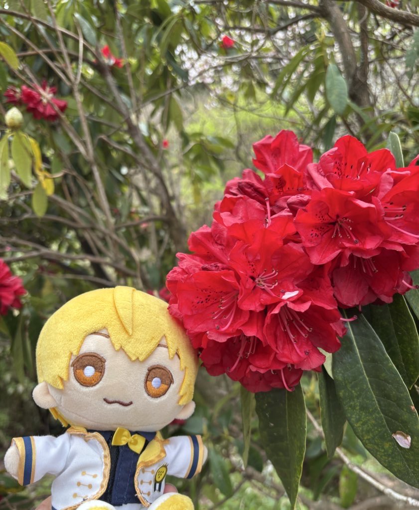 ゆきま ちはる tweet media