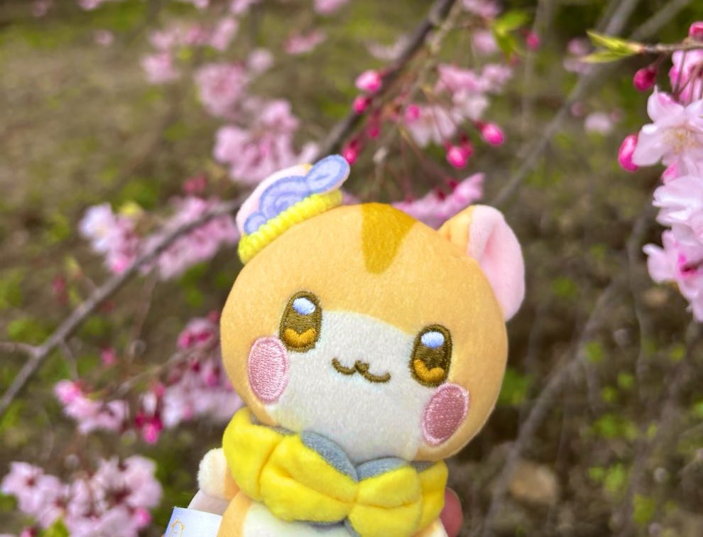 ゆきま ちはる tweet media