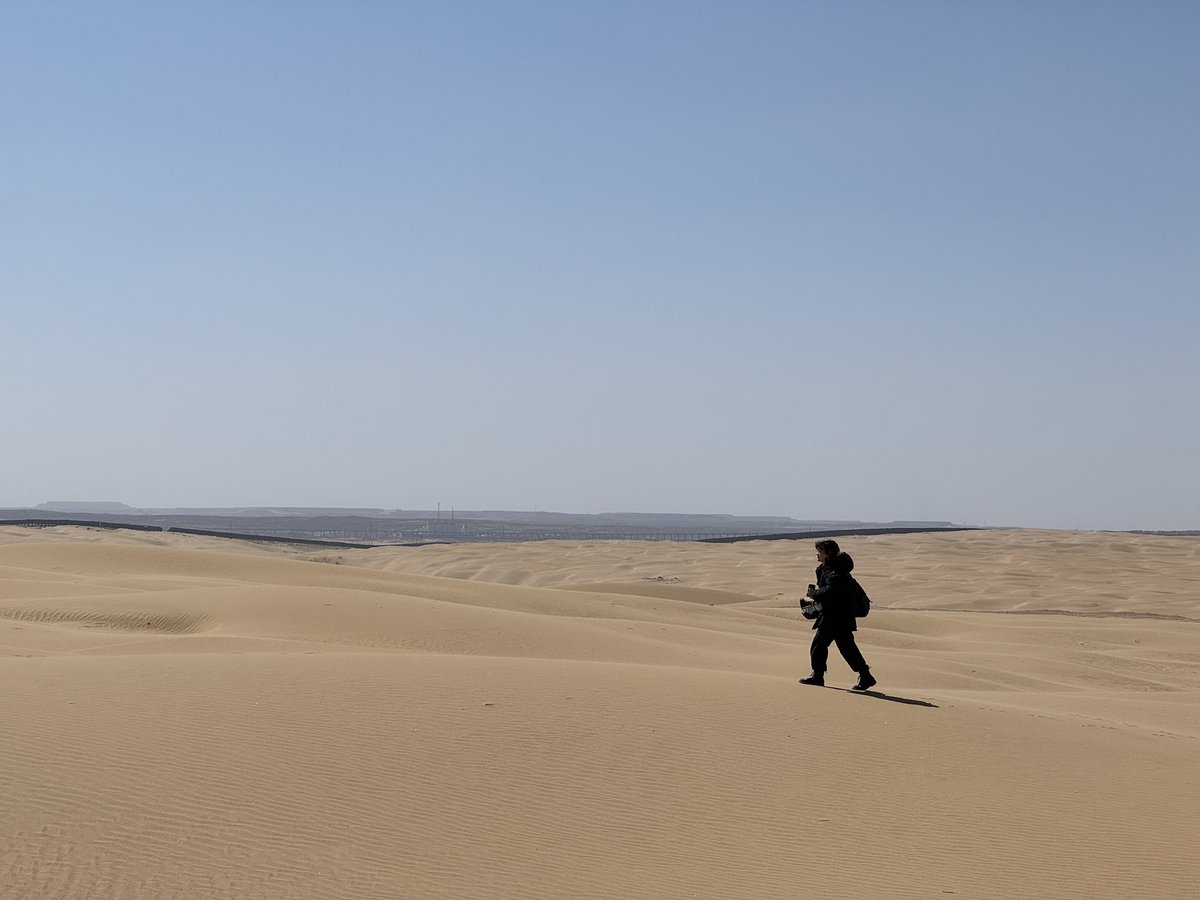 兔兔猫 tweet media