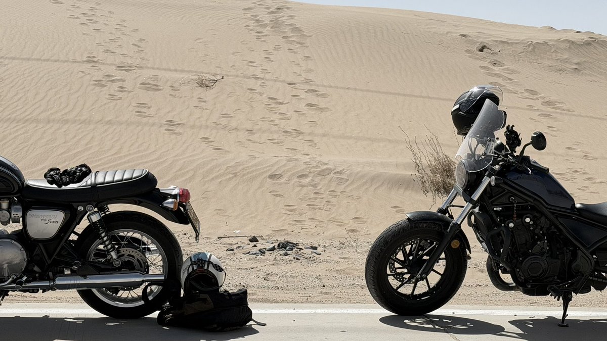 兔兔猫 tweet media