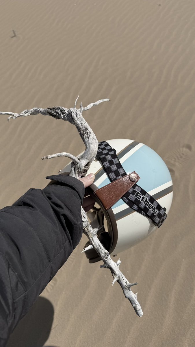 兔兔猫 tweet media