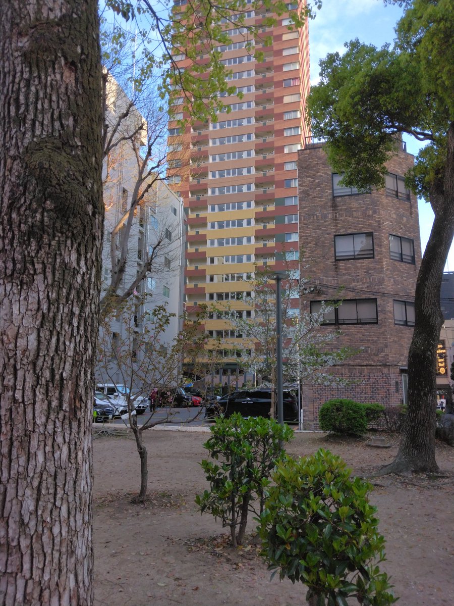 ひろこ tweet media