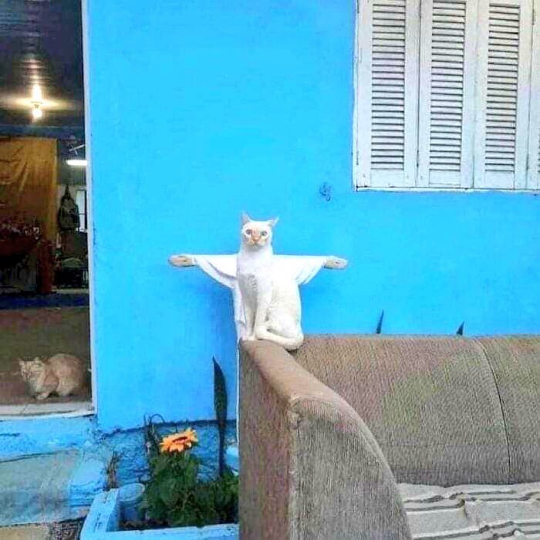 Paul Bronks tweet media