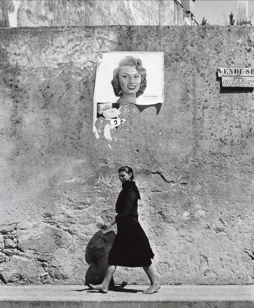 Wild at Heart tweet media