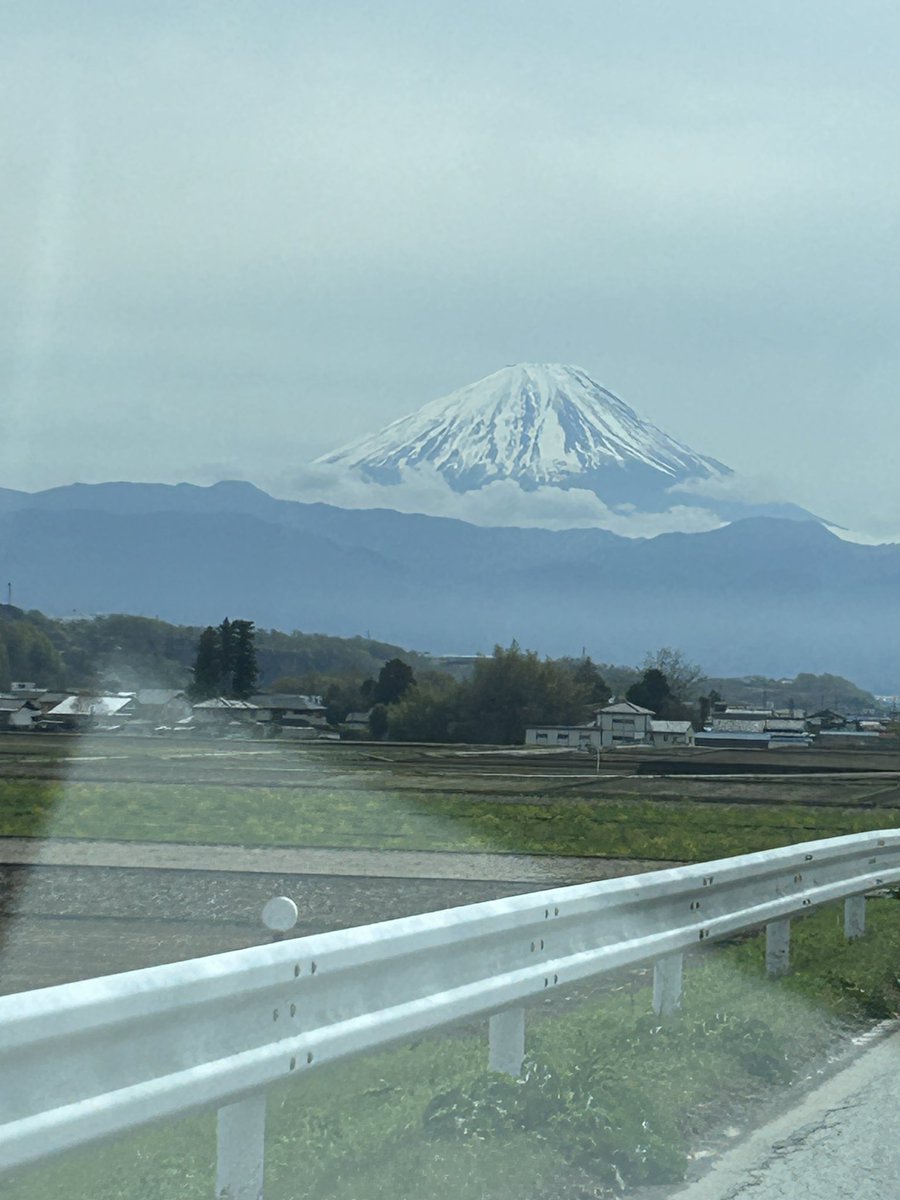 甲斐犬　こた🐾ぶー🐾優 tweet media