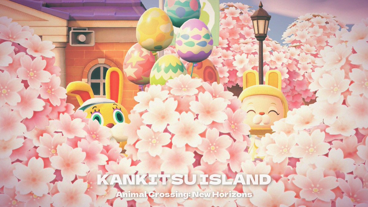 🍊かんきつ系みかん丸🍊 tweet media