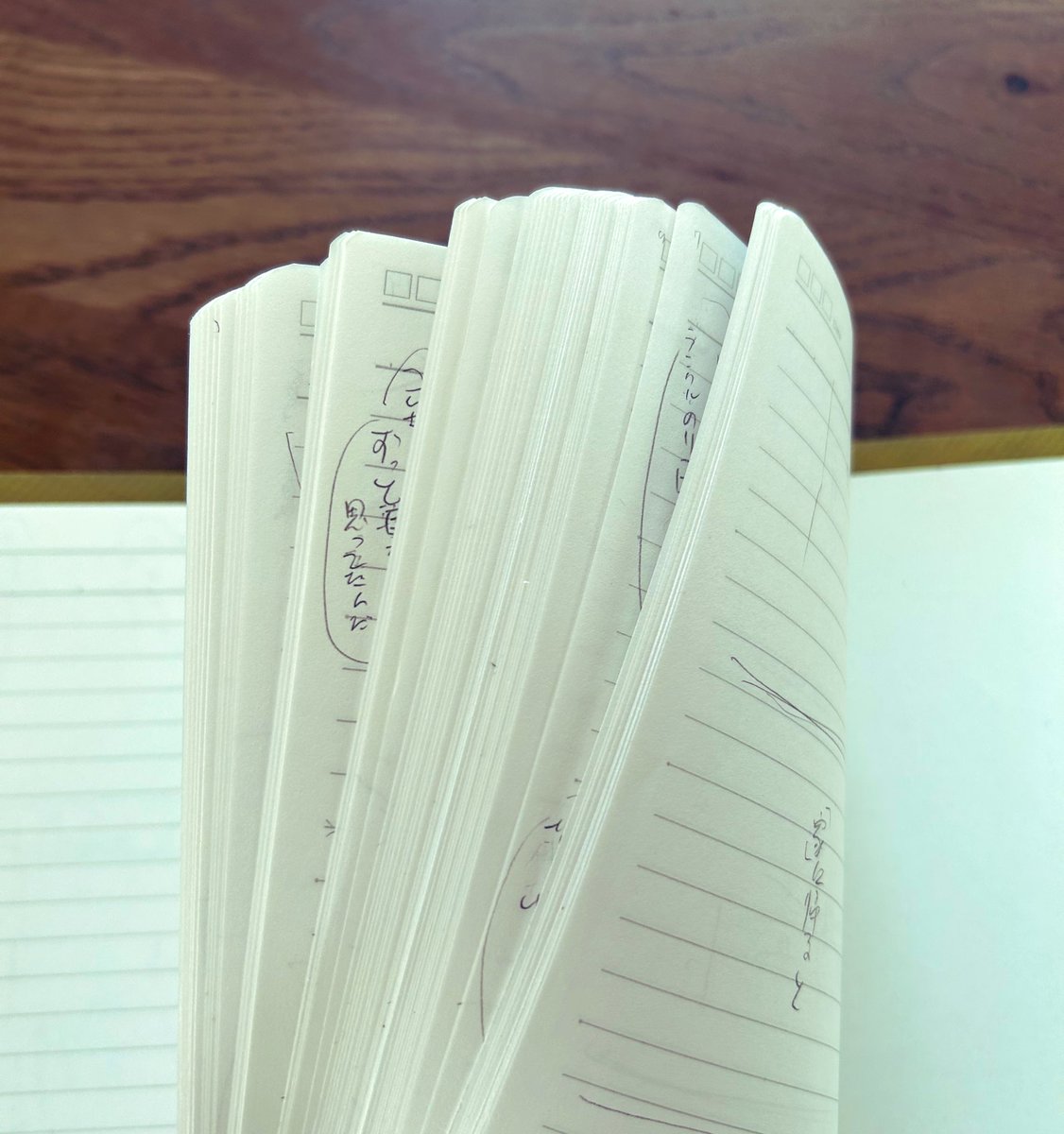 野菜🥗 tweet media