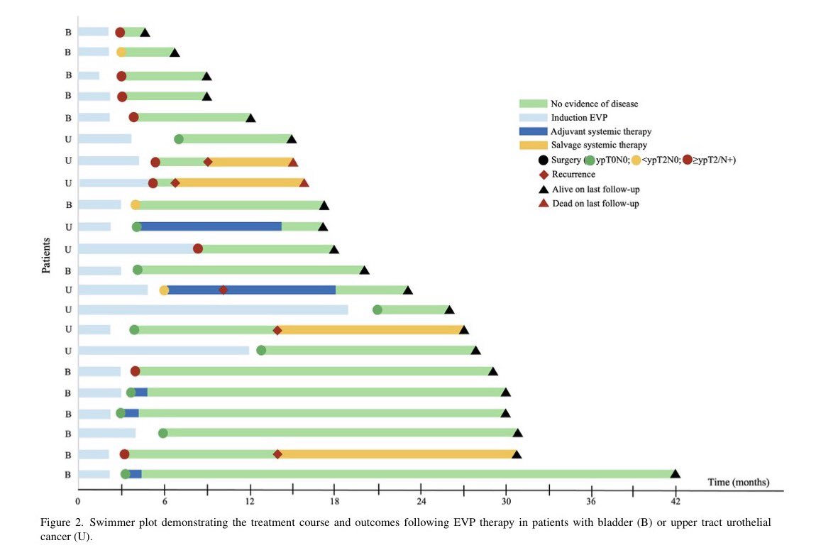 MJosé Juan tweet media