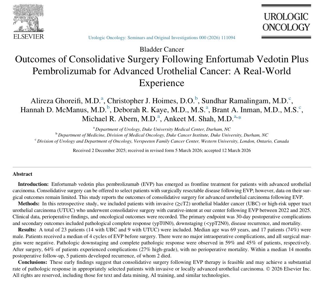 MJosé Juan tweet media