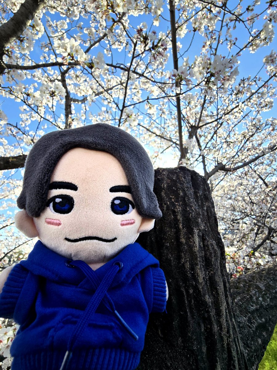 ♕かでぃ♕ tweet media