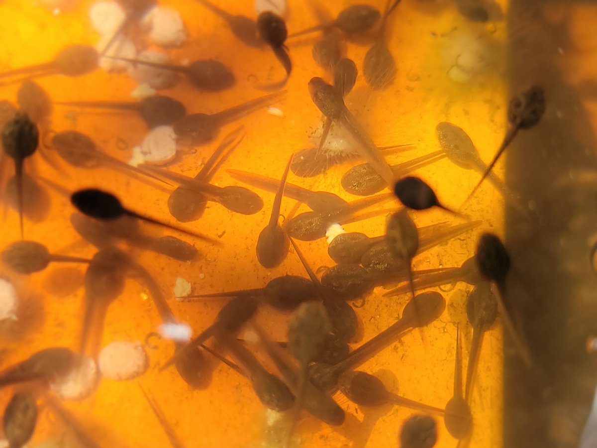 🌻Timothy.志保🌻 tweet media