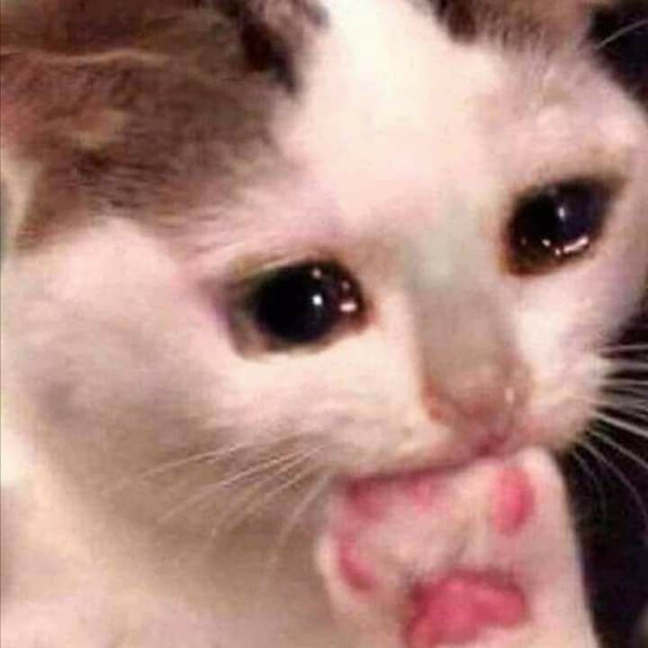 YuelaGuigui's tweet photo. barusan abis rewatch Violet Evergarden, ternyata bukan episode 10 aja yg sedih.. TIAP EPISODE bawaannya mau nangisss😭😭😭 kacauu https://t.co/T8nOjBRcef
