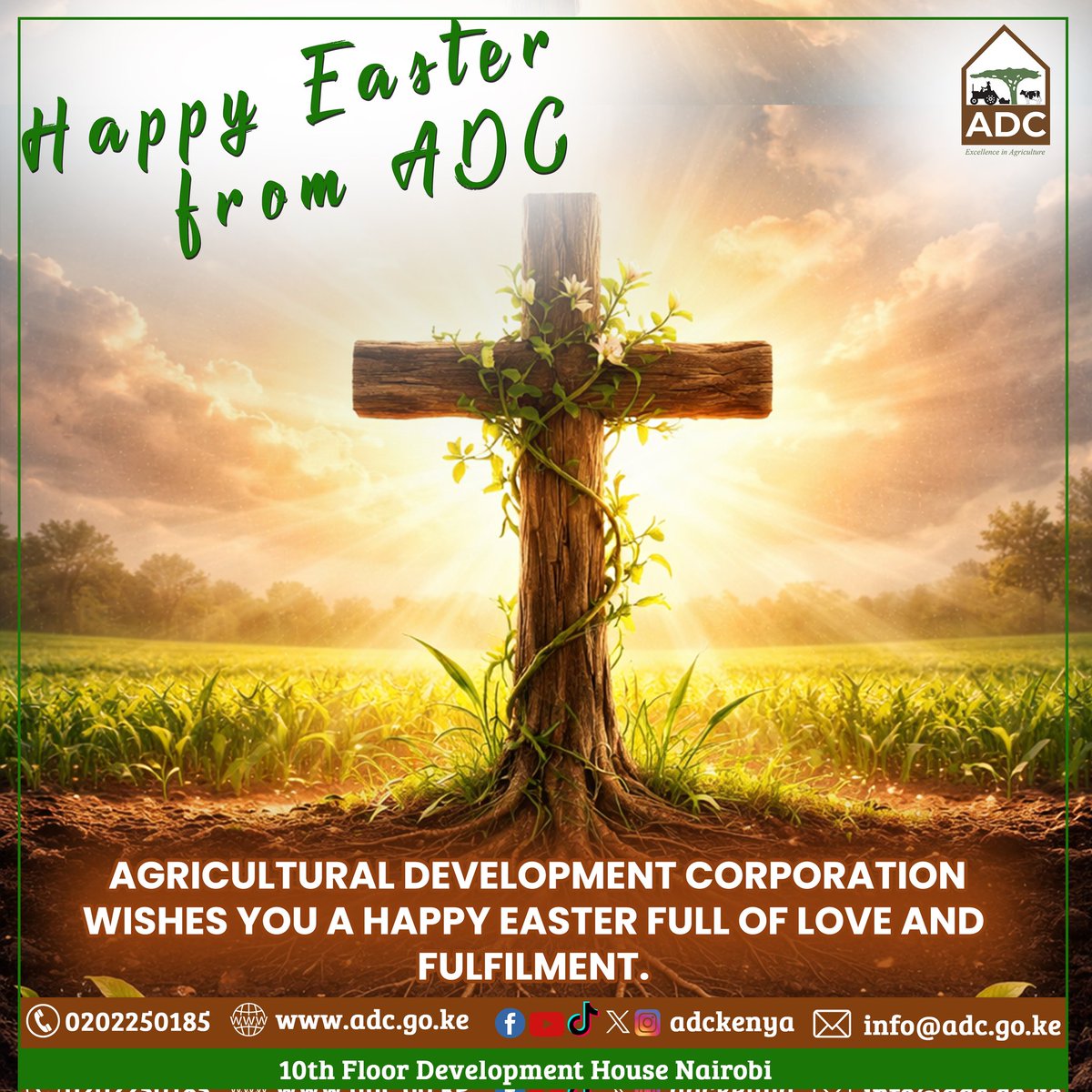 adckenya tweet media