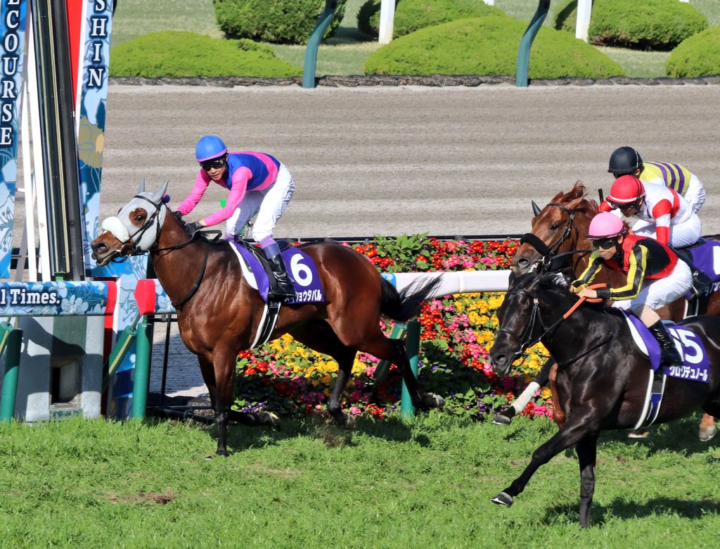 す𓃗✩*⋆ tweet media