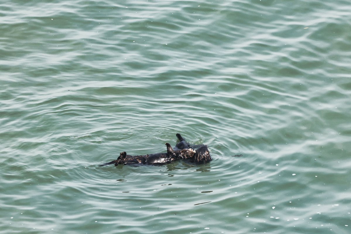 温根湯温泉の人♨️ tweet media