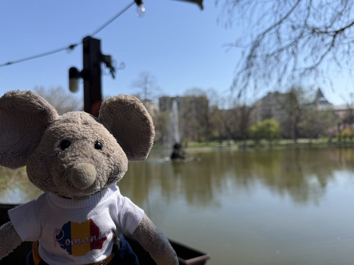 𝕎𝕙𝕚𝕤𝕜𝕖𝕣𝕤 𝕄𝕠𝕦𝕤𝕖 🧀 tweet media