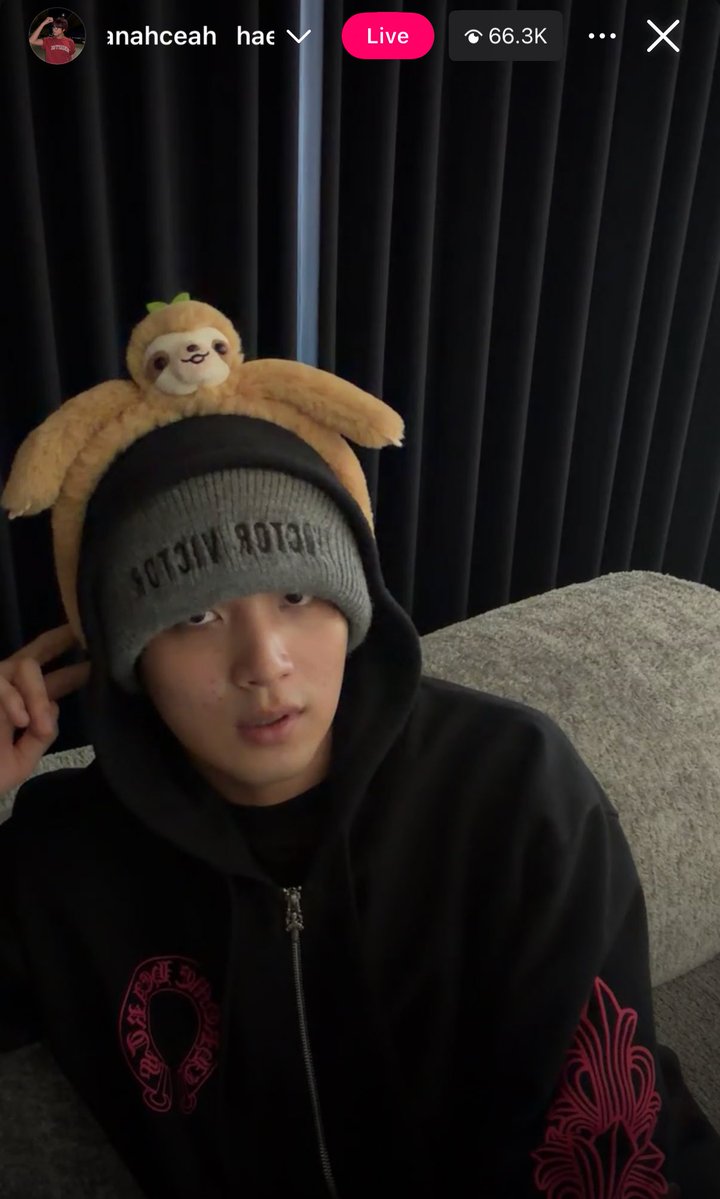 LITTLEHC☀️🐻 HX🦋🌟 tweet media