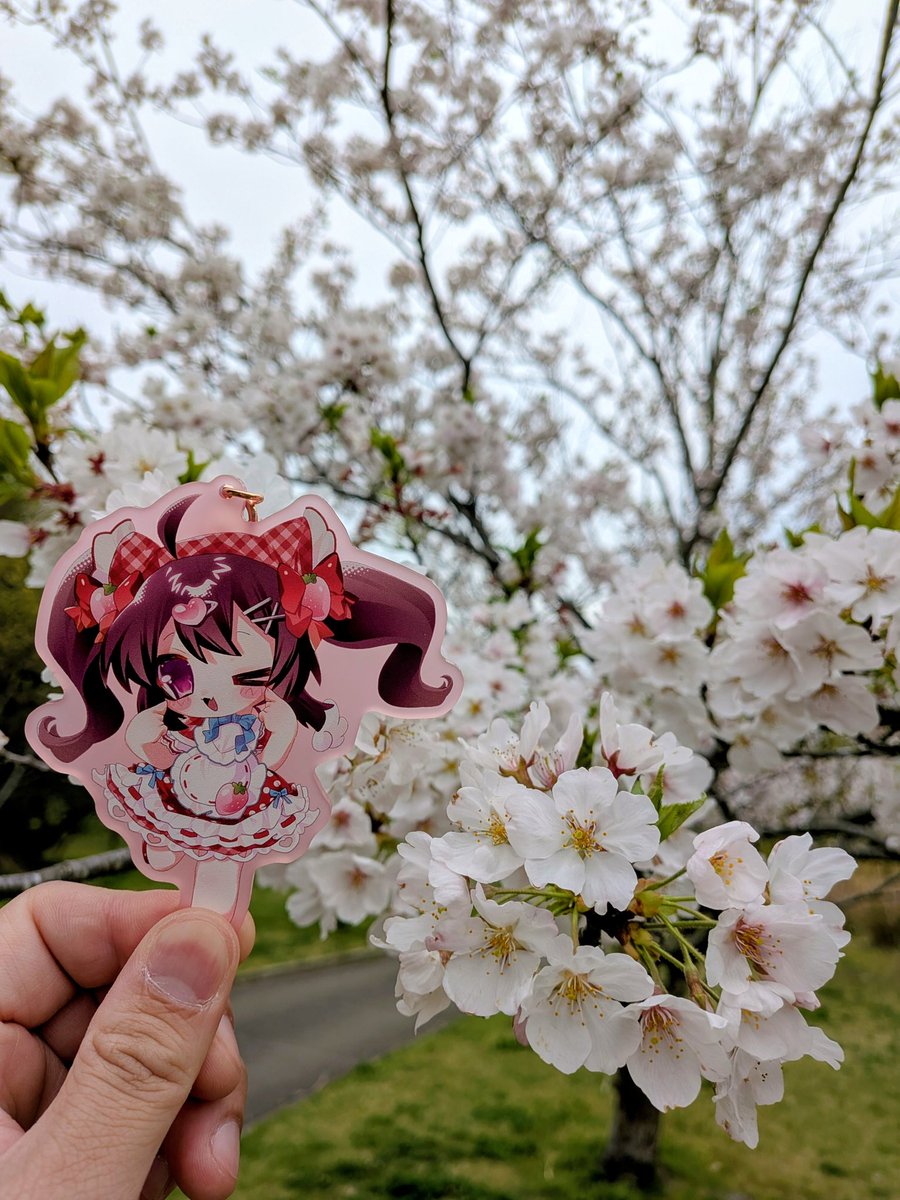 ショリリン tweet media