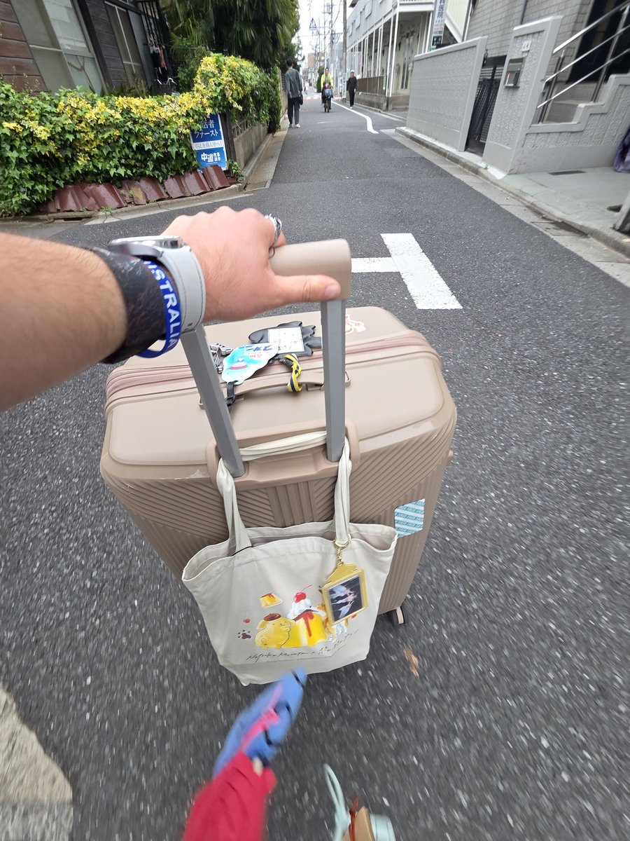 Doogs 𒉭 tweet media