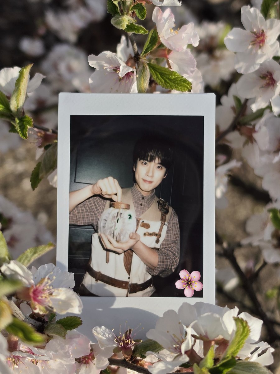 라3우섕파5/4👉🏻노랑 tweet media