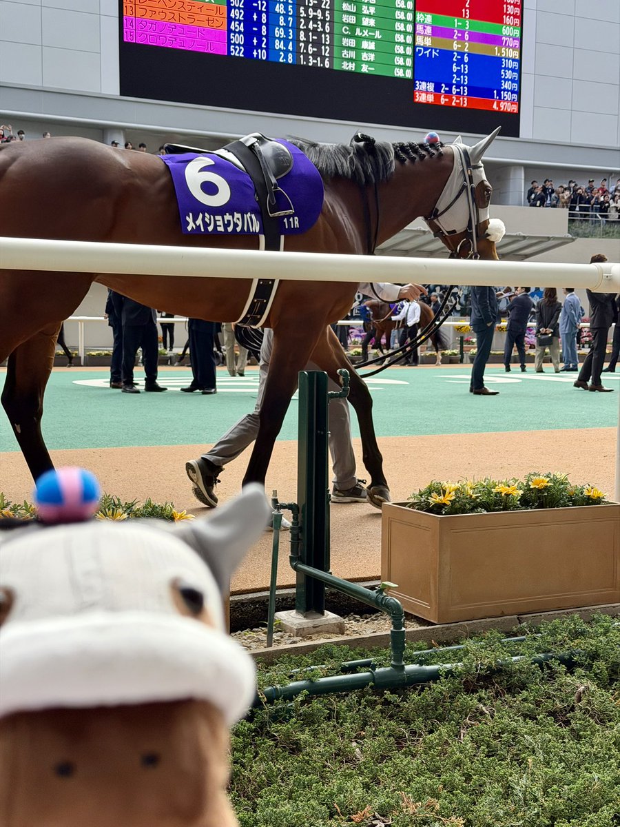 舞夢🐎🎀 tweet media