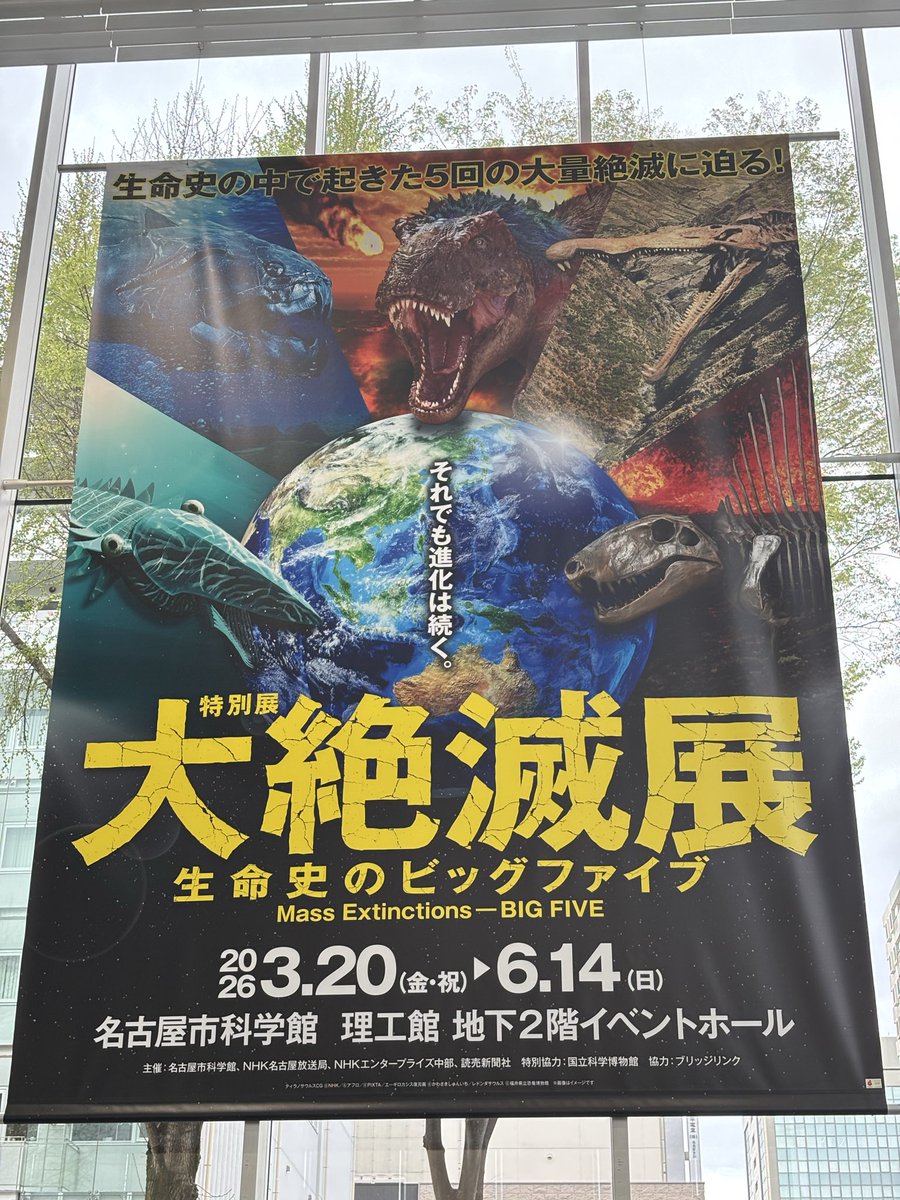 Matango®︎(マタンゴ) tweet media