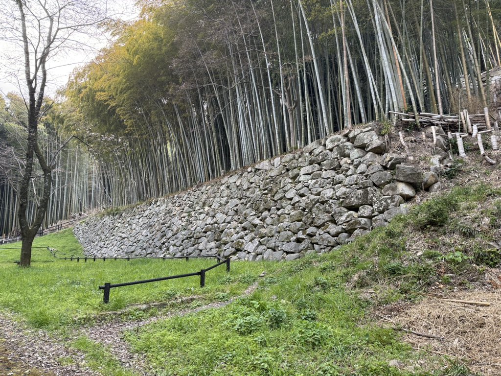 k-masahiro tweet media