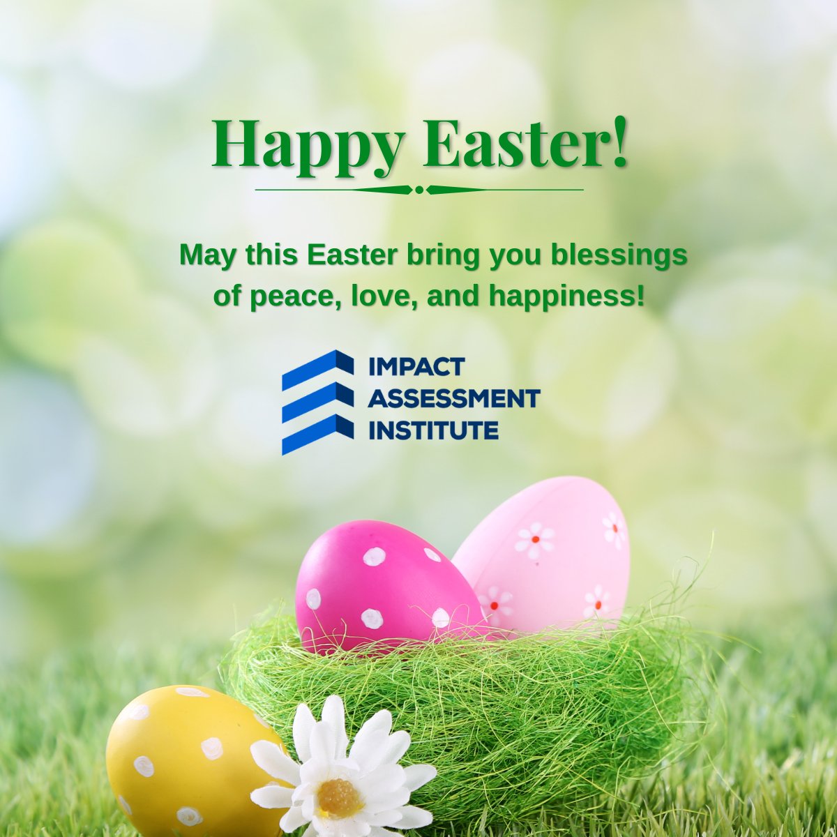Impact Assessment Institute tweet media