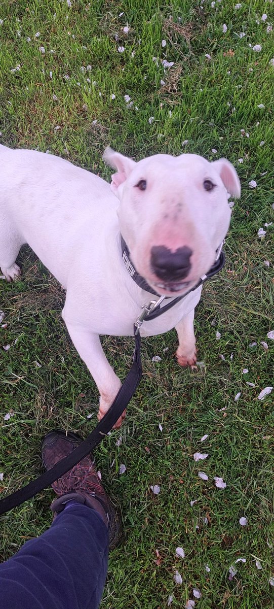 Stan the EBT tweet media