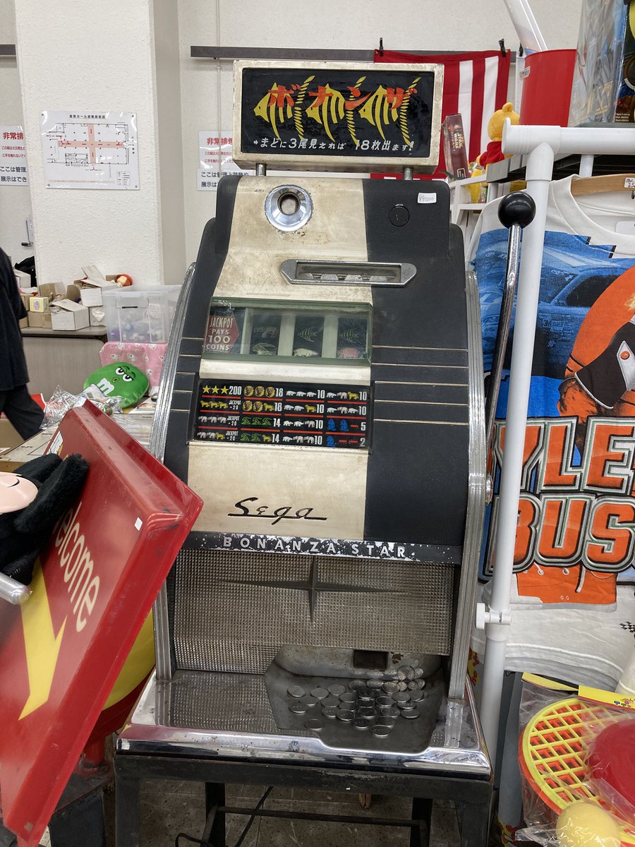 沼田出穂（IPPO） tweet media