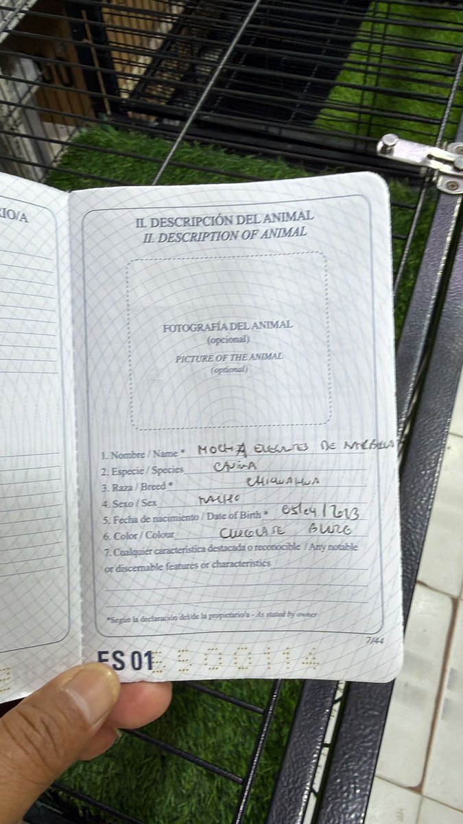 شيخة السعدون tweet media