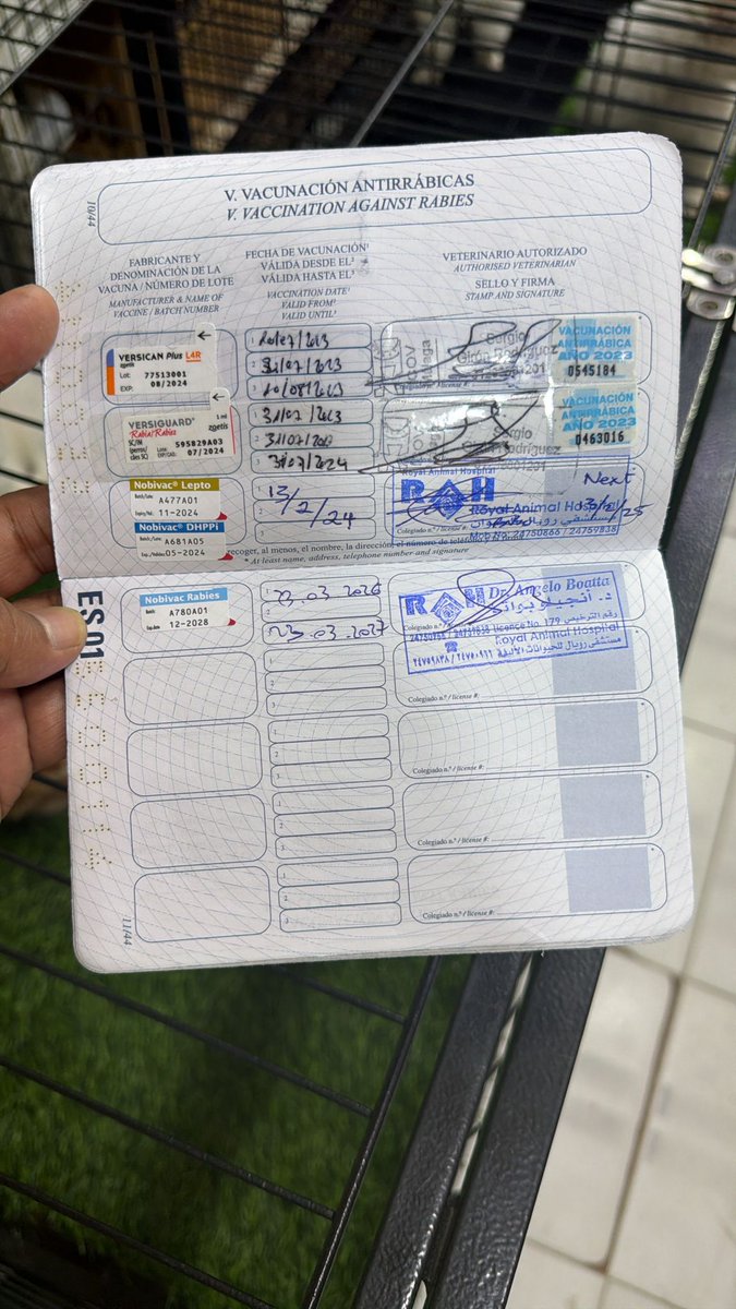 شيخة السعدون tweet media