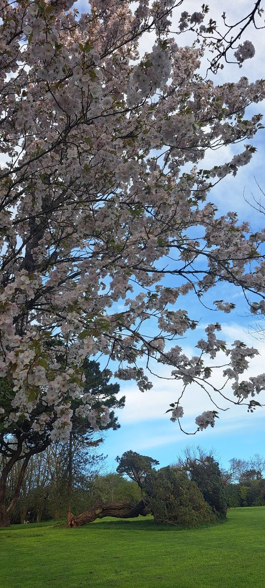 Stan the EBT tweet media