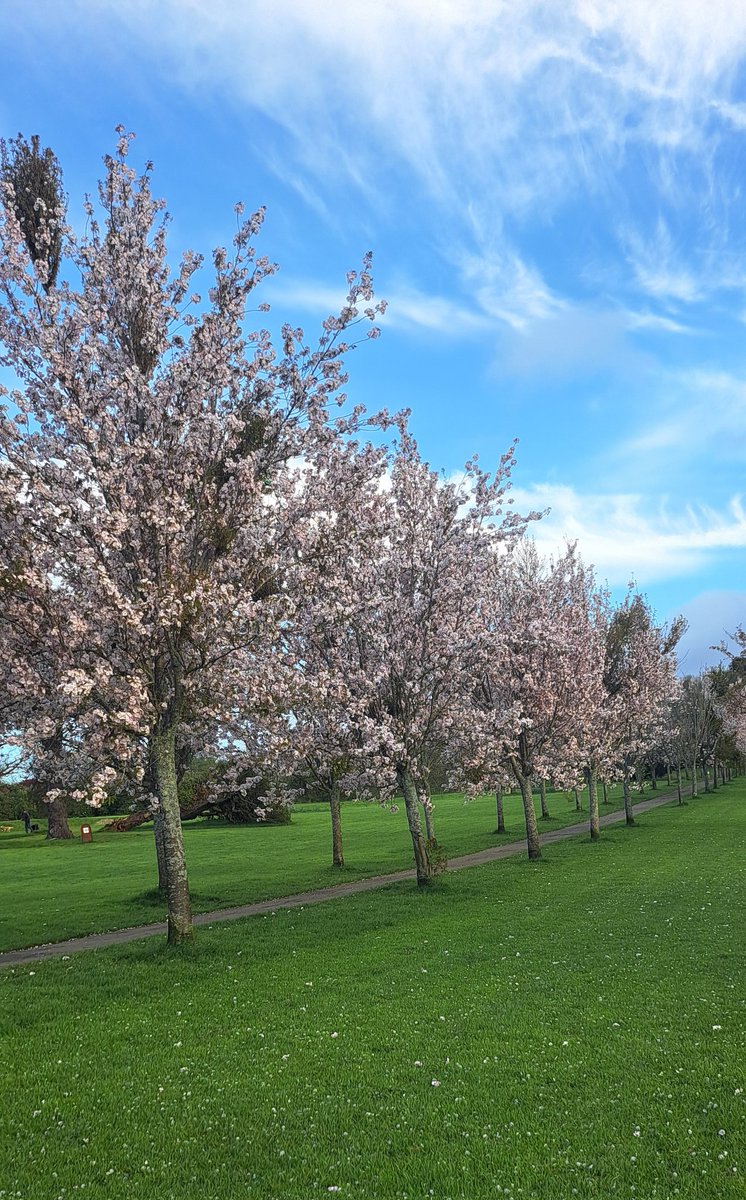 Stan the EBT tweet media