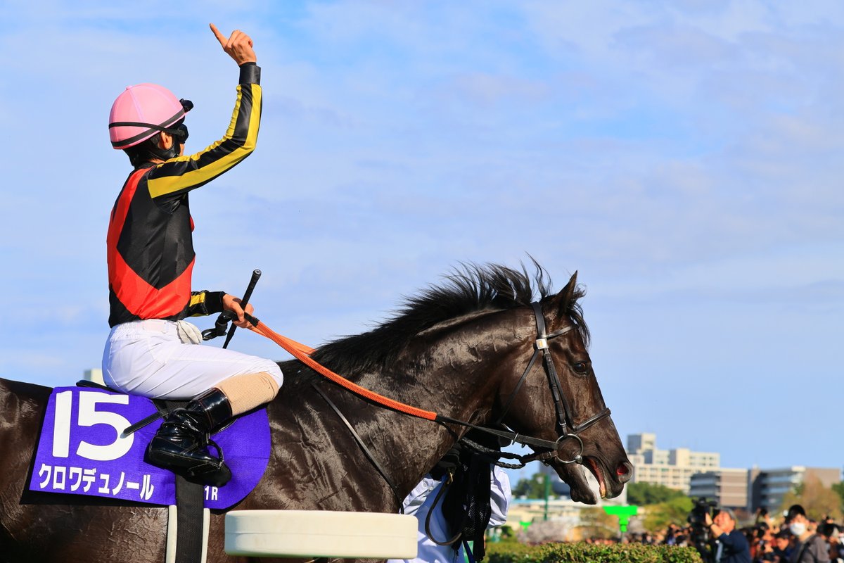 JRA-VAN公式 tweet media