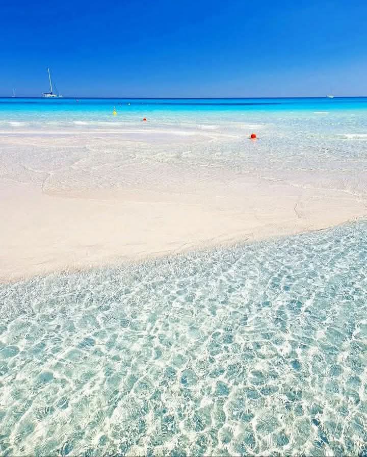 Tranquillo tweet media