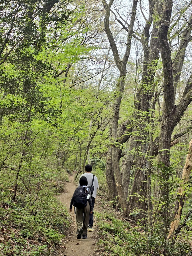 シホンニア tweet media