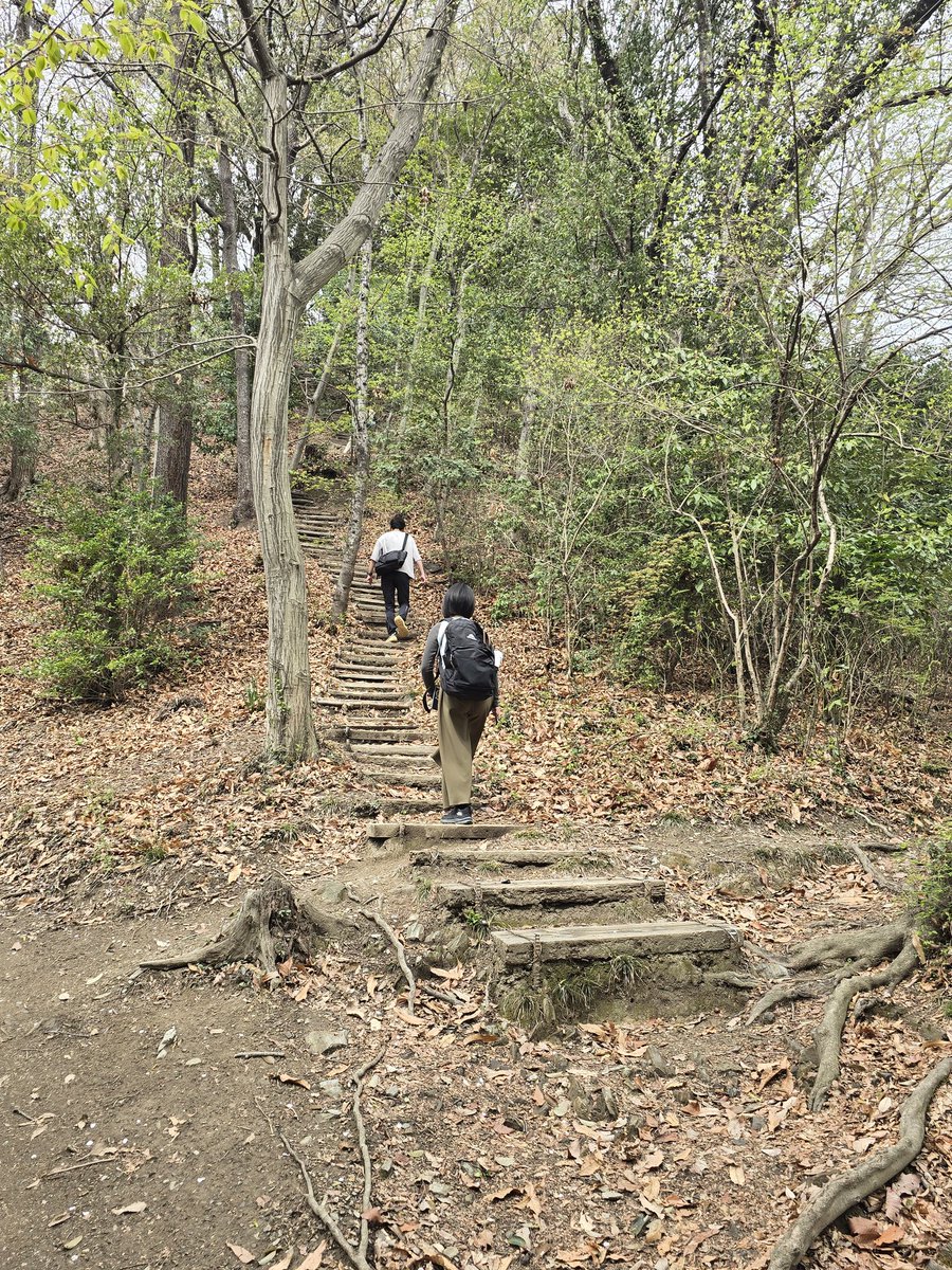 シホンニア tweet media