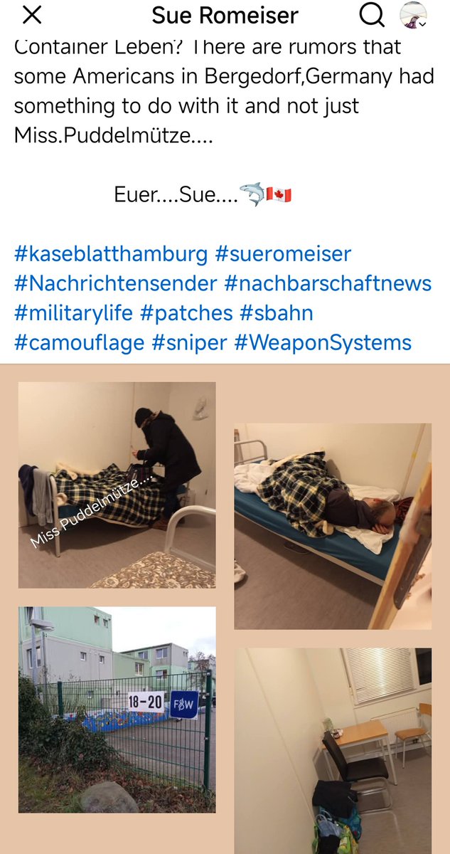 Sue ©️ tweet media