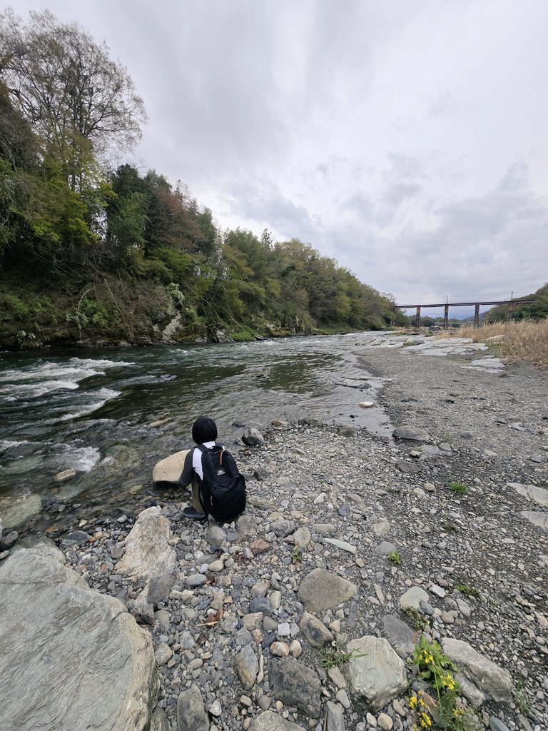 シホンニア tweet media